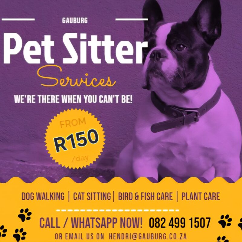 Petsitting (once daily)